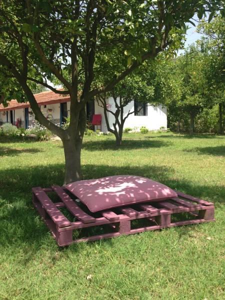 Cirali Friends Pension&Camping Ngoại thất bức ảnh