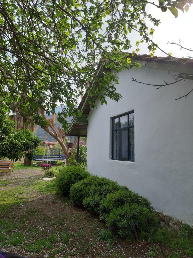 Cirali Friends Pension&Camping Ngoại thất bức ảnh